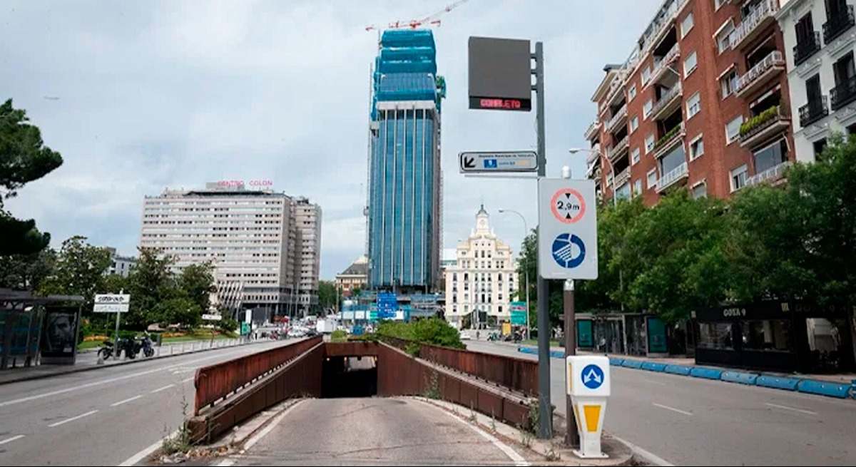 parkin-colon.jpg