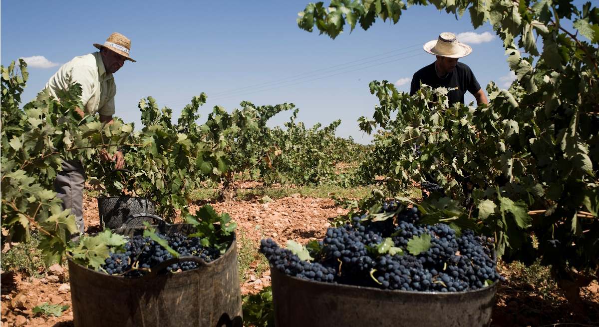 valdepenas-vino-alamy.jpg