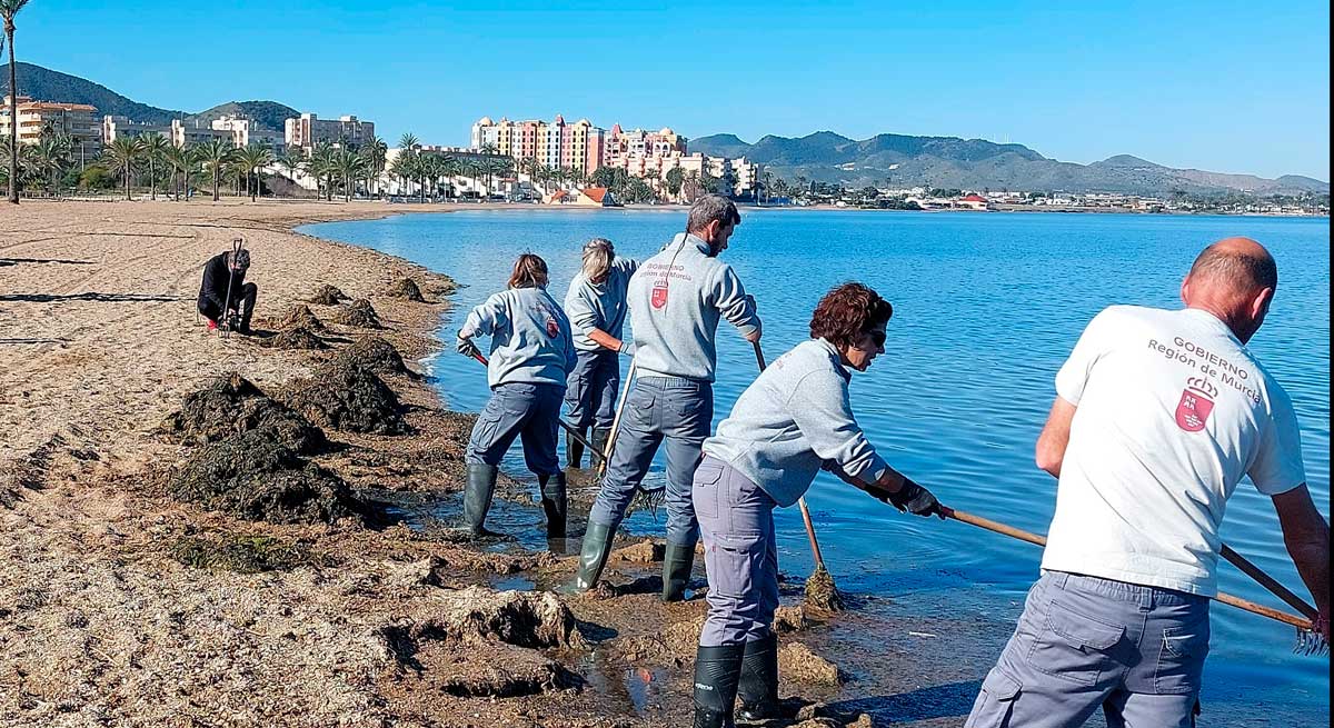 La-contaminacion-de-las-aguas-proviene-de-los-nitratos-de-fuentes-agricolas.jpg