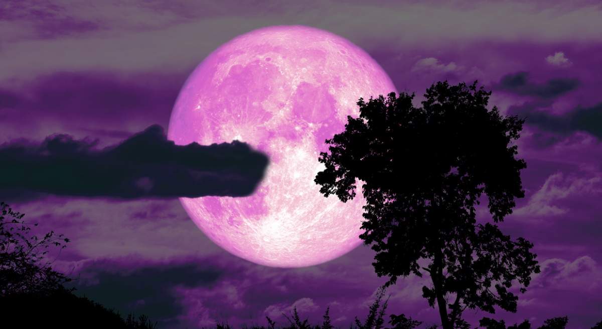 luna-rosa.jpg