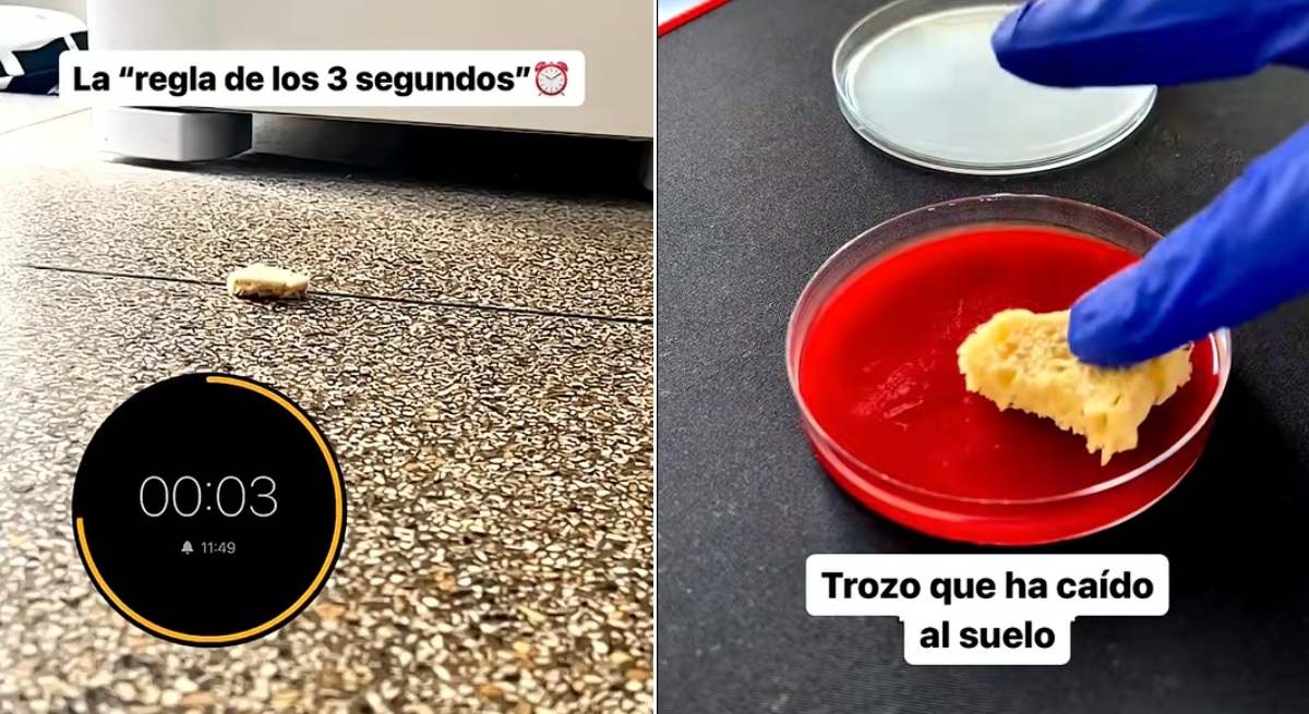 Una doctora pone a prueba la "regla de los 3 segundos". 