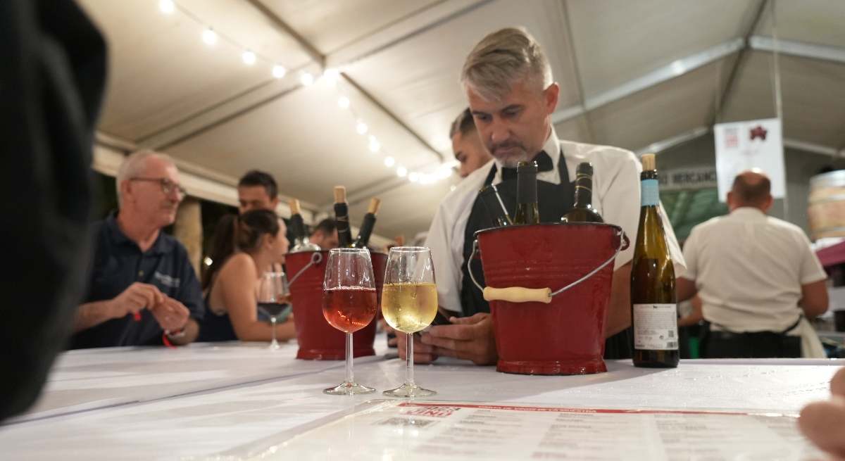 FESTIVAL-VINO-SOMONTANO-2023.jpg