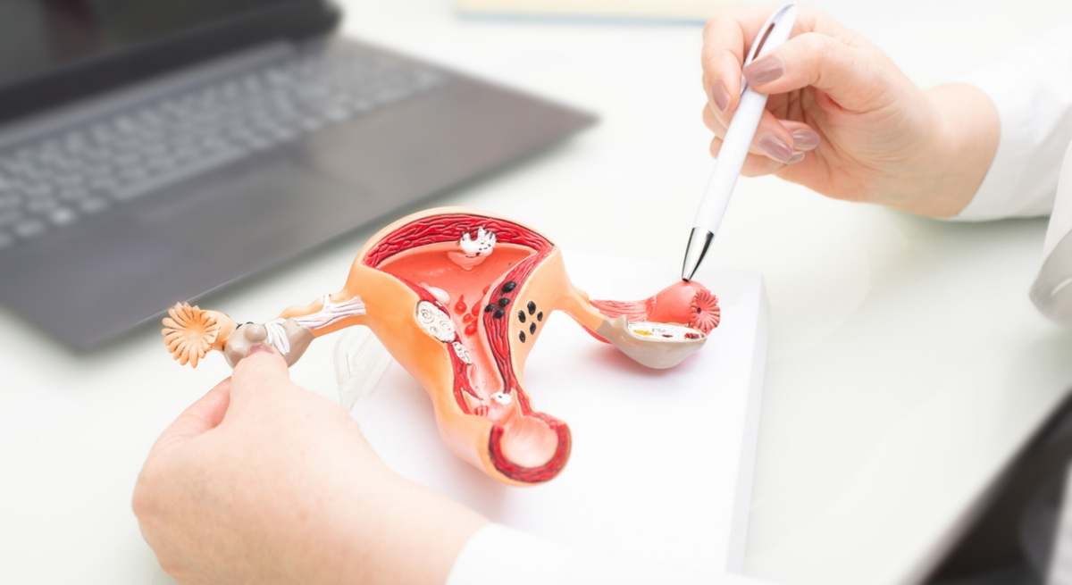 iStock-1285430668-1.jpg