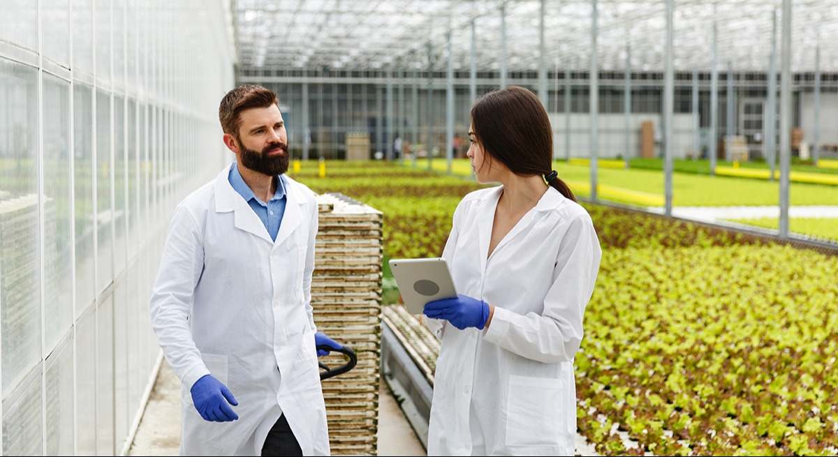 MMegablok, soluciones a las necesidades de equipamiento de la industria alimentaria