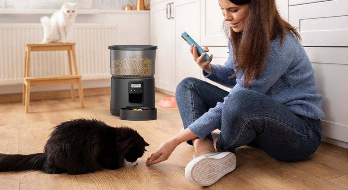 El mejor comedero para gatos con descuento