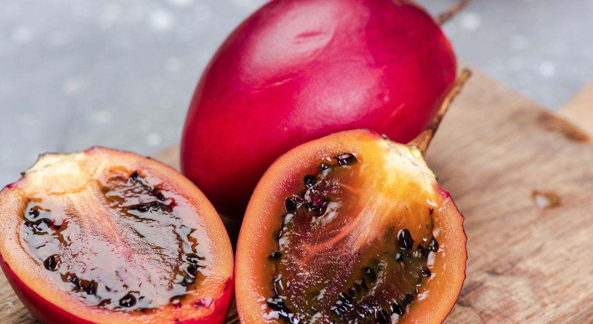 Tomate de árbol