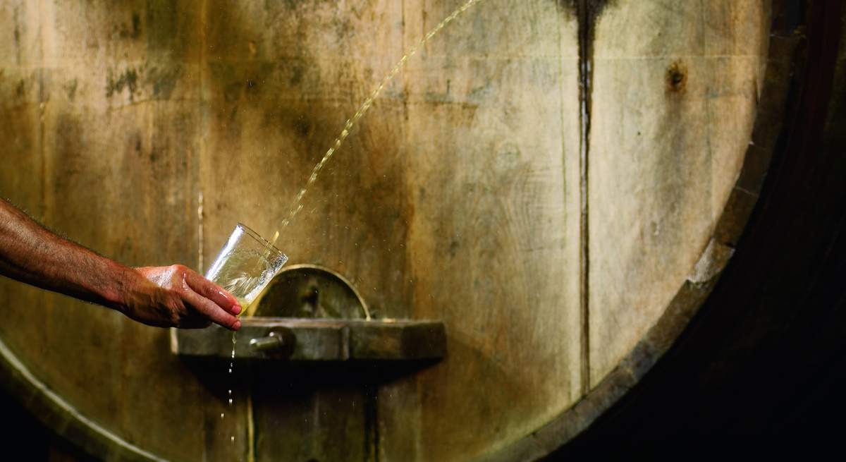 sidra-1200.jpg