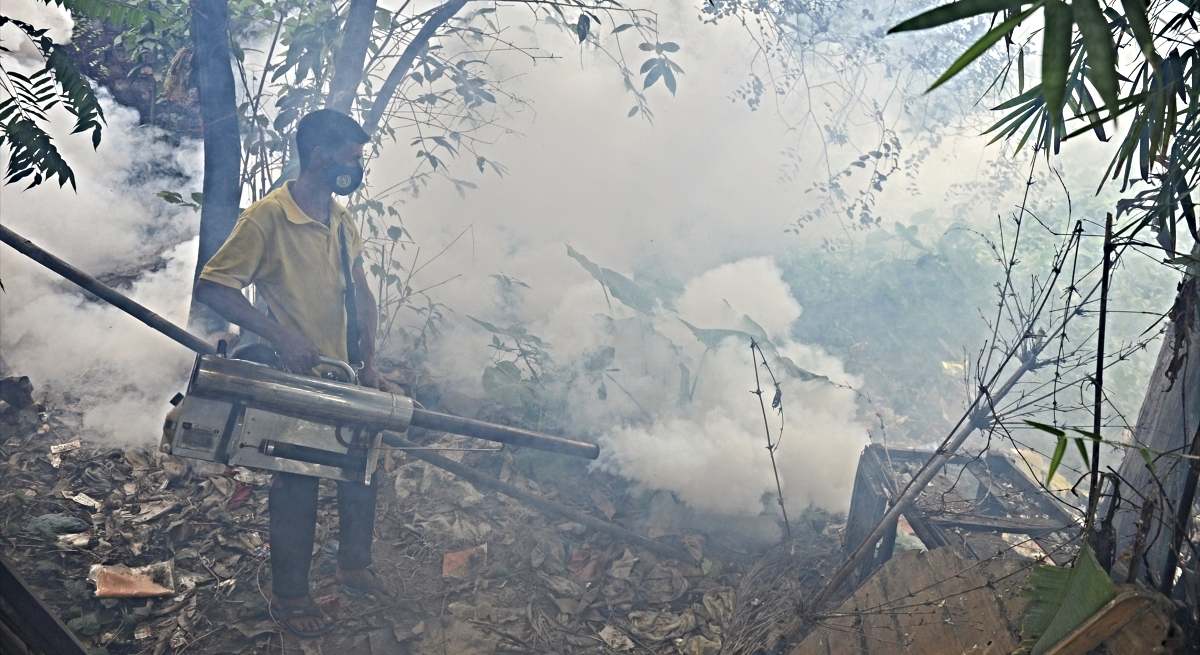 Imagen de archivo de una campaña para la erradicacion de mosquitos portadores de enfermedades / EP
