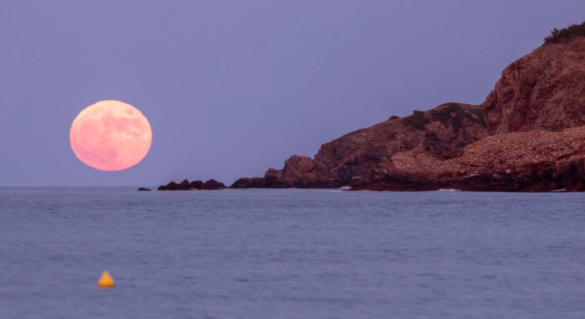 Luna Rosa o Luna Peonia en España. / Foto: iStock