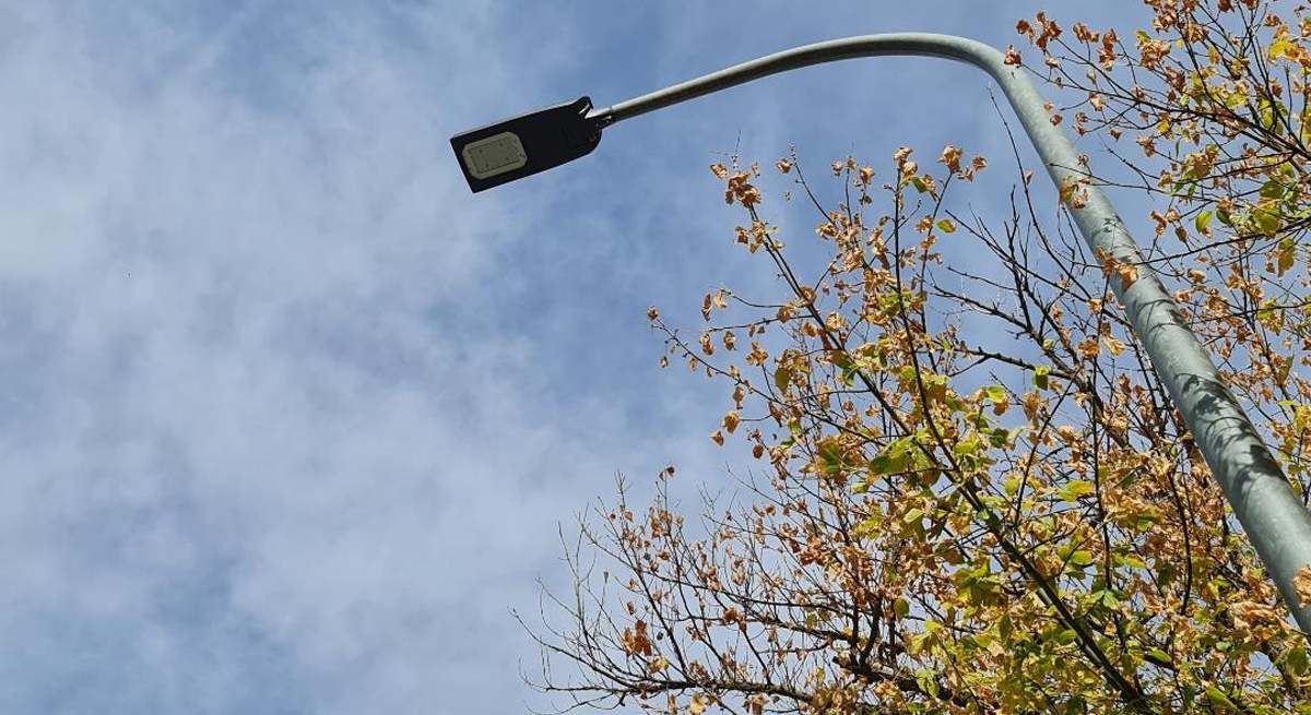 luz