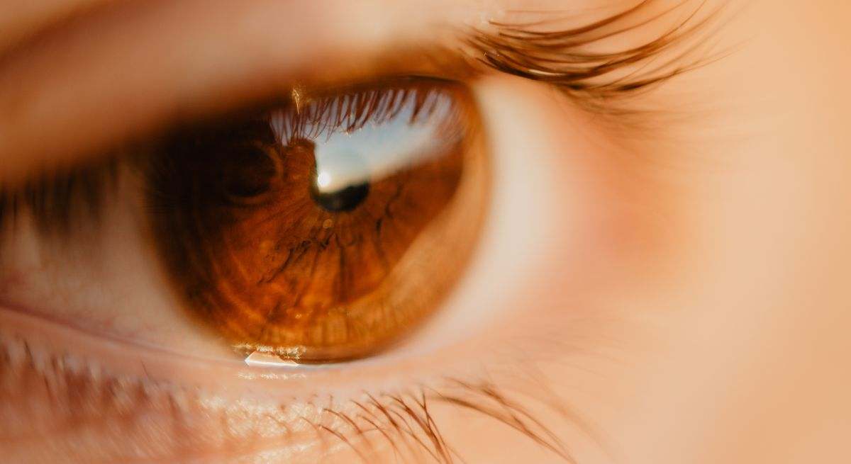 Salud visual