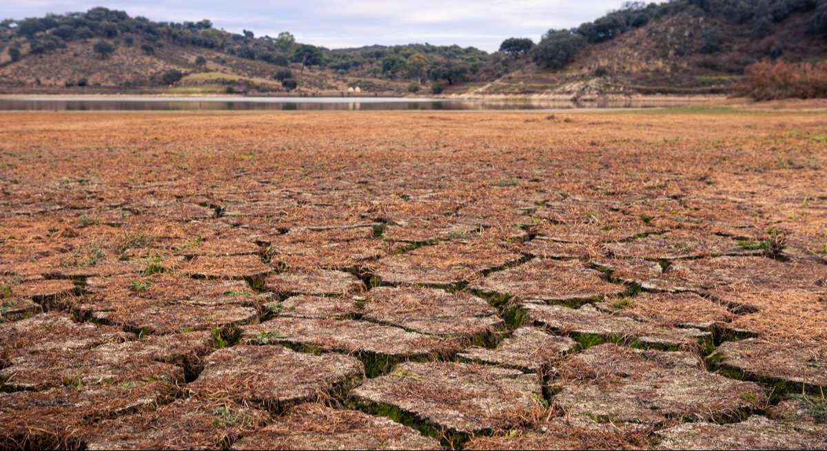 Laguna afectada por la sequía