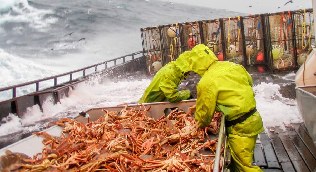 pesquero-pescadores-narco-cangrejo-nieves-alaska-mar-dreamstime.jpg