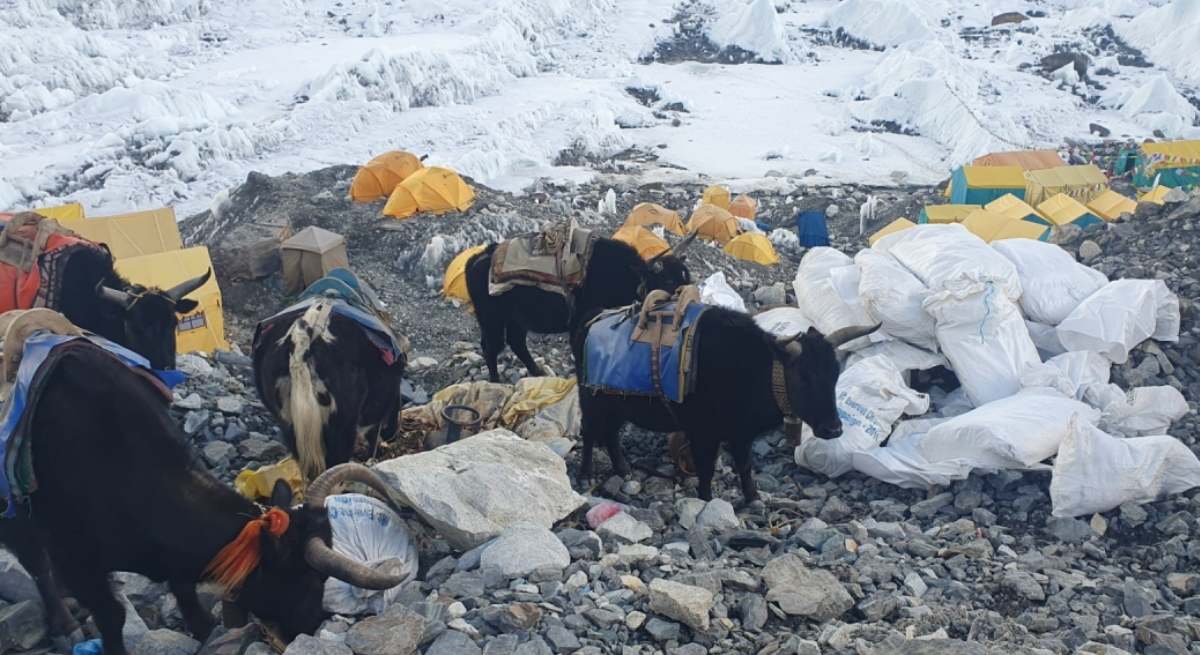 basura-everest-ep.jpg