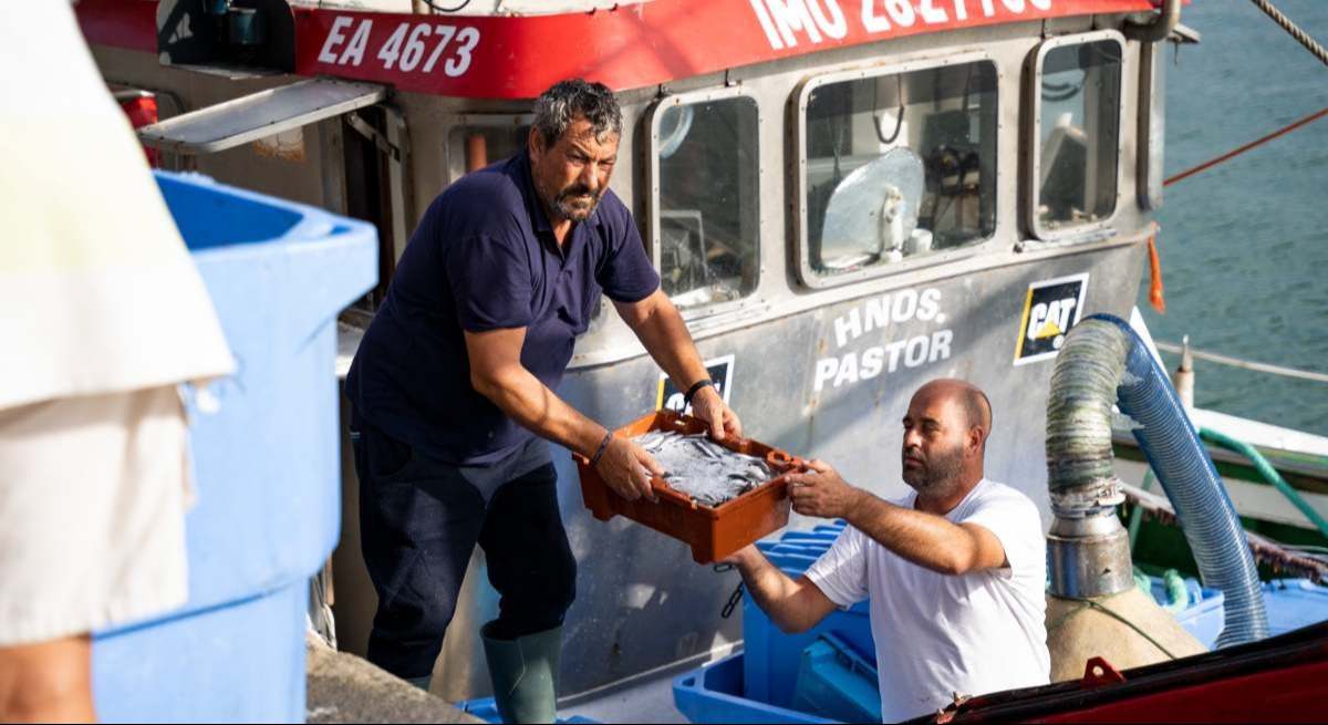 Descarga en un barco pesquero andaluz.