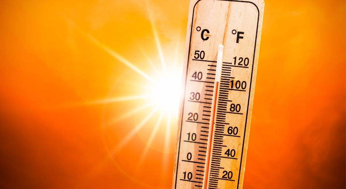 El 72% de los hogares cuentan con ventiladores; el 69%, toldos o persianas; y el 55%, aire acondicionado.
