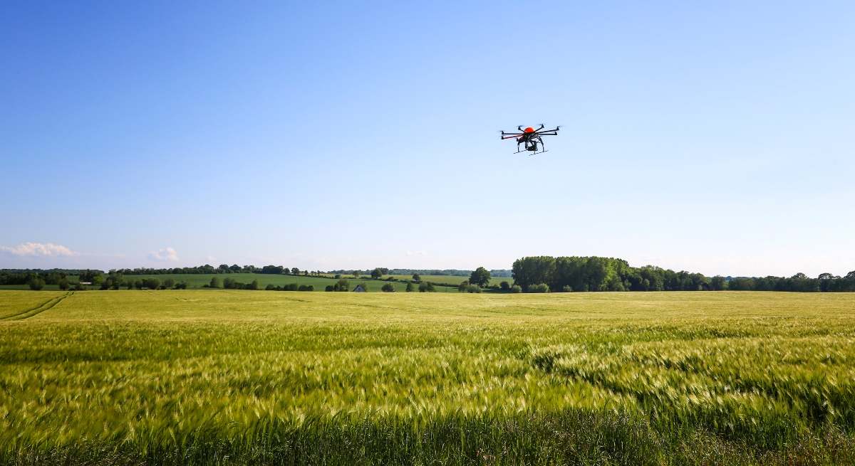 Dron-Basf.jpg