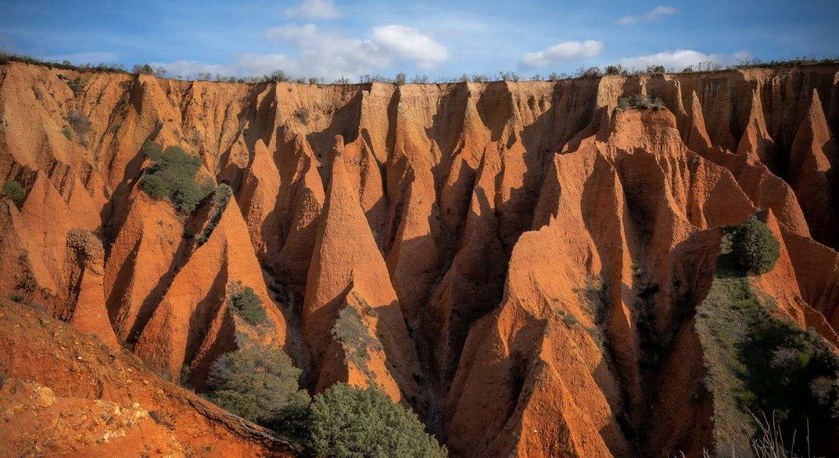 Las Cárcavas de Pontón de la Oliva