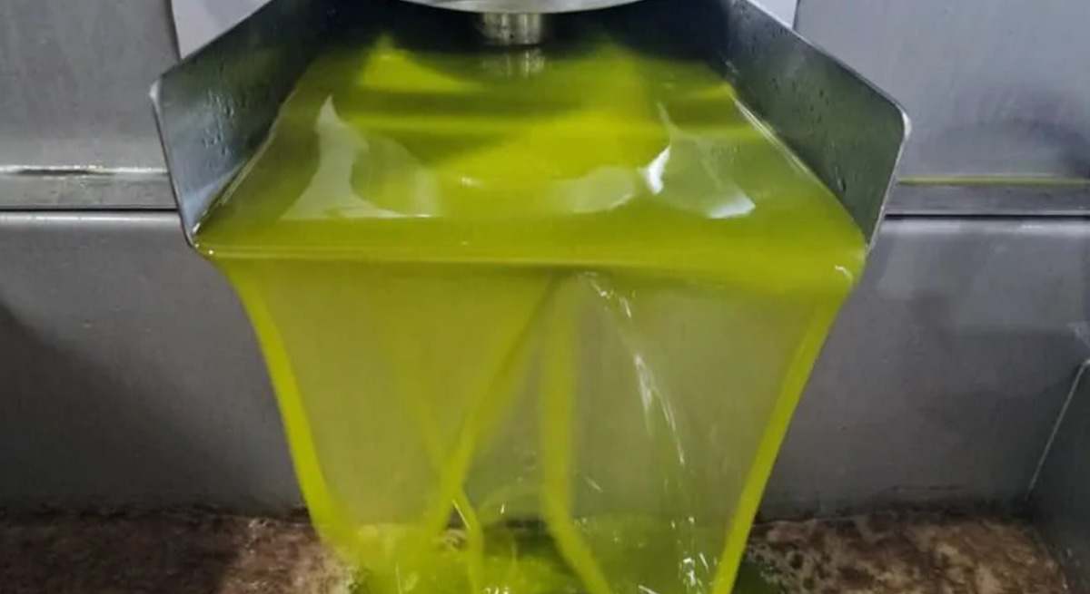 Aceite recién producido en una almazara de Jaén. EFE
