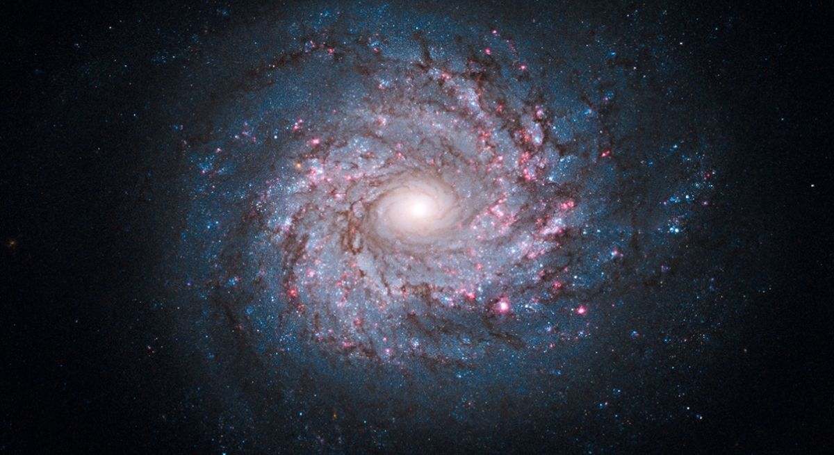 Un giro inesperado: científicos españoles proponen una nueva y polémica teoría sobre el origen del universo