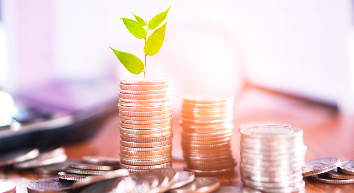 Verde-dinero-istock-1200.jpg