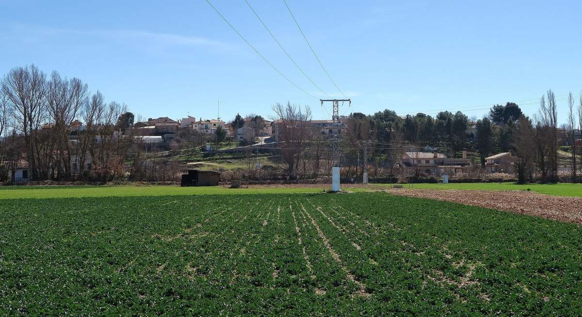 La pequeña localidad guadalajareña de Torre del Burgo