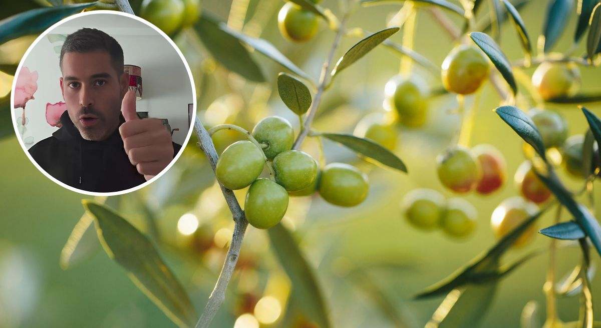 Las palabras del nutricionista Pablo Ojeda sobre el mito de las aceitunas