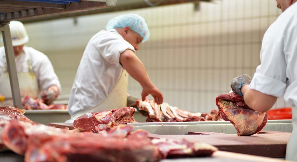 INdustria Alimentaria