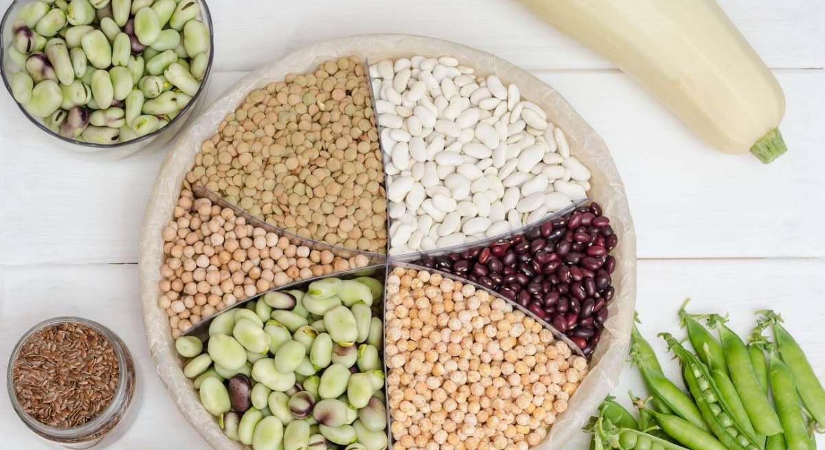 alimentacion
