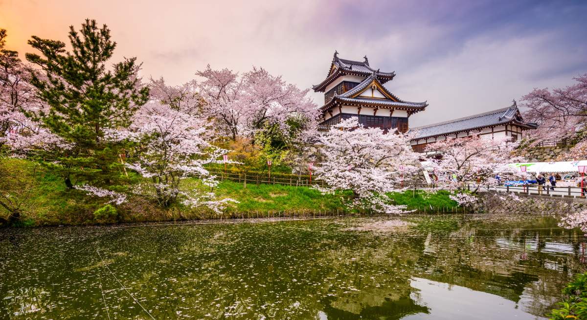 paisaje-japon-primavera-dreams.jpg