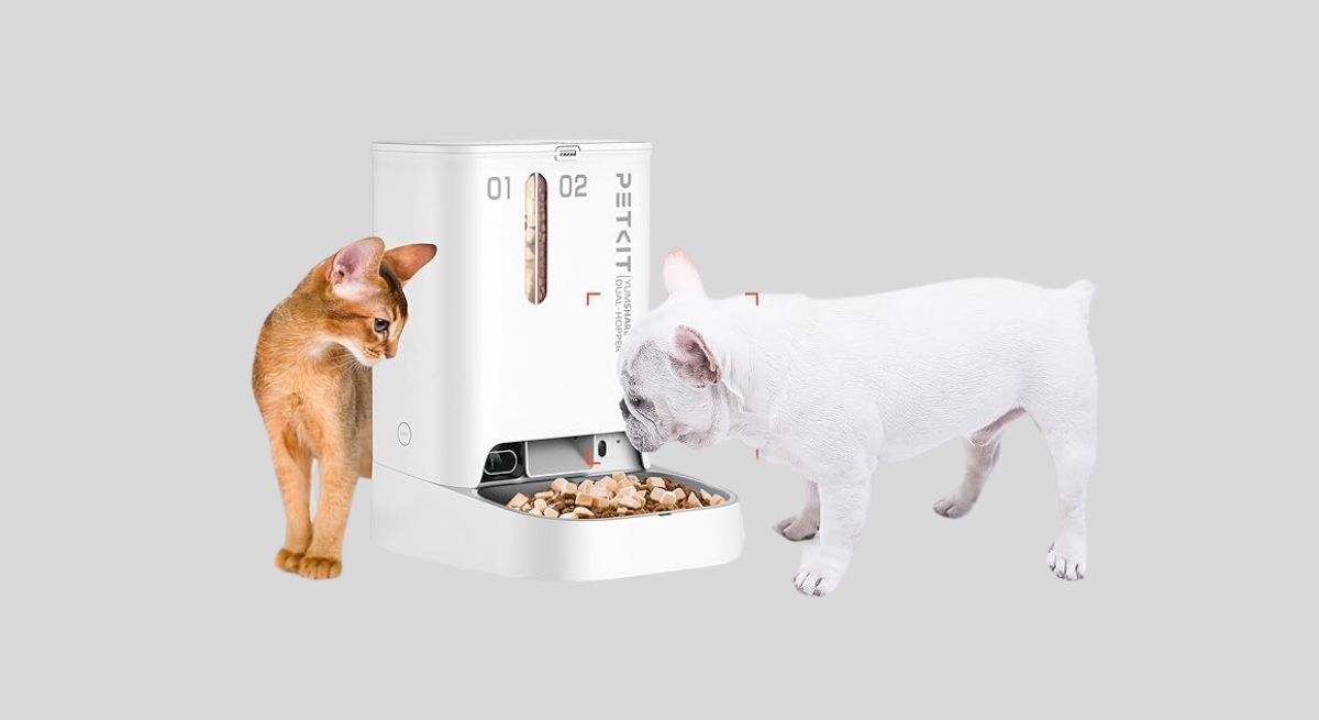 Comedero automático con cámara para mascotas de PETKIT