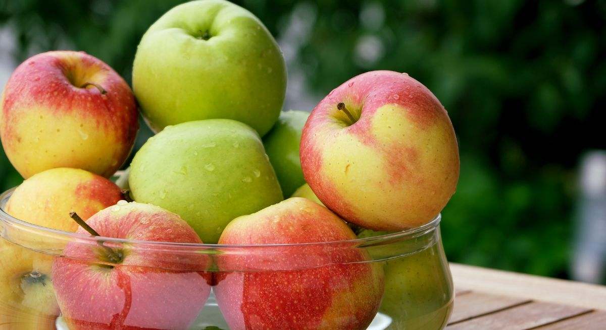 Piezas de manzana de distintas variedades en un bol de cristal sobre una mesa de mandera