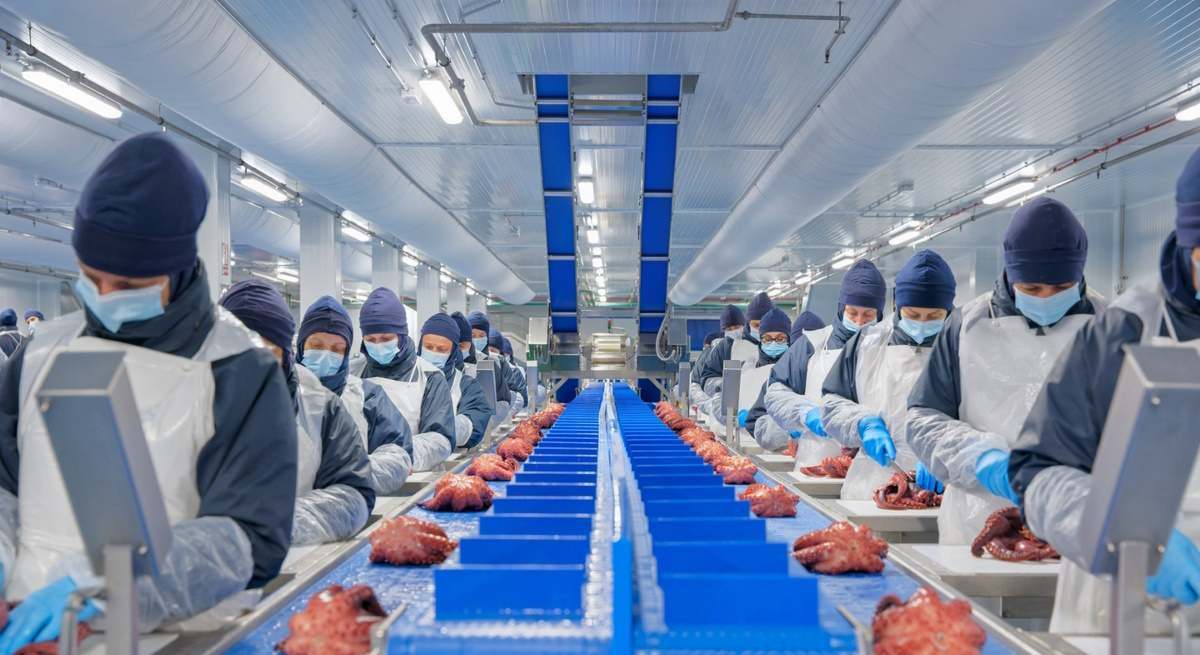 En la foto, trabajadoras de la firma pesquera en la planta de Vilagarcía de Arousa (Pontevedra).