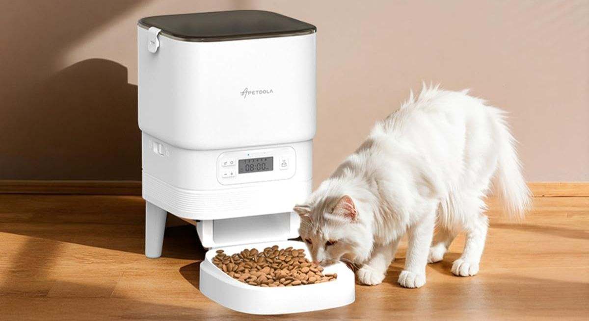 El mejor comedero gatos con descuento