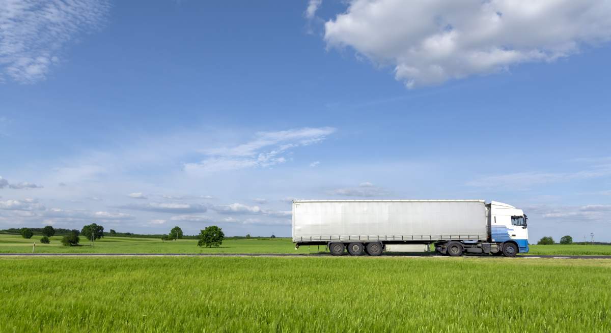 Logistica aecoc
