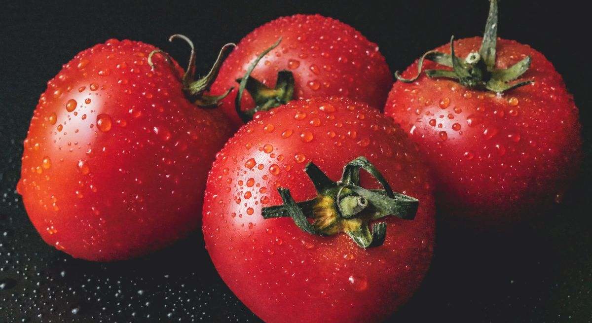 Tomates