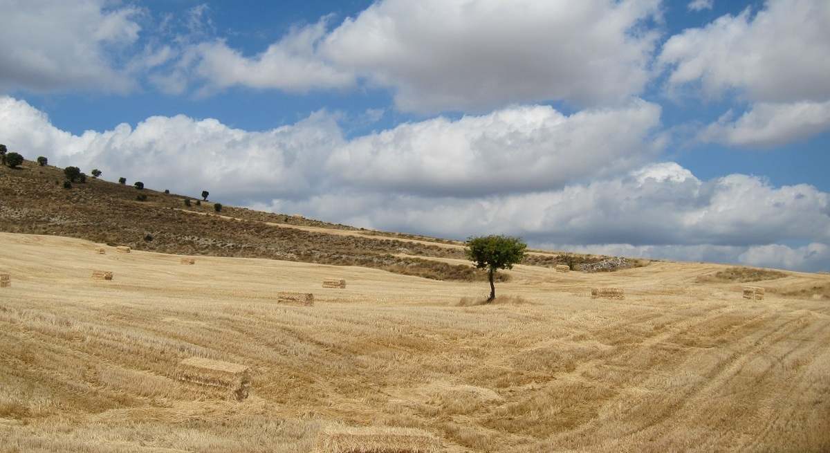 europapress-1423670-extremadura-.jpg