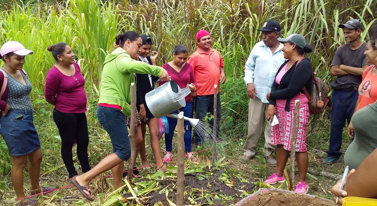 ayudas cooperacion