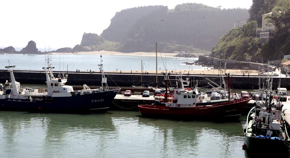 pesca.jpg