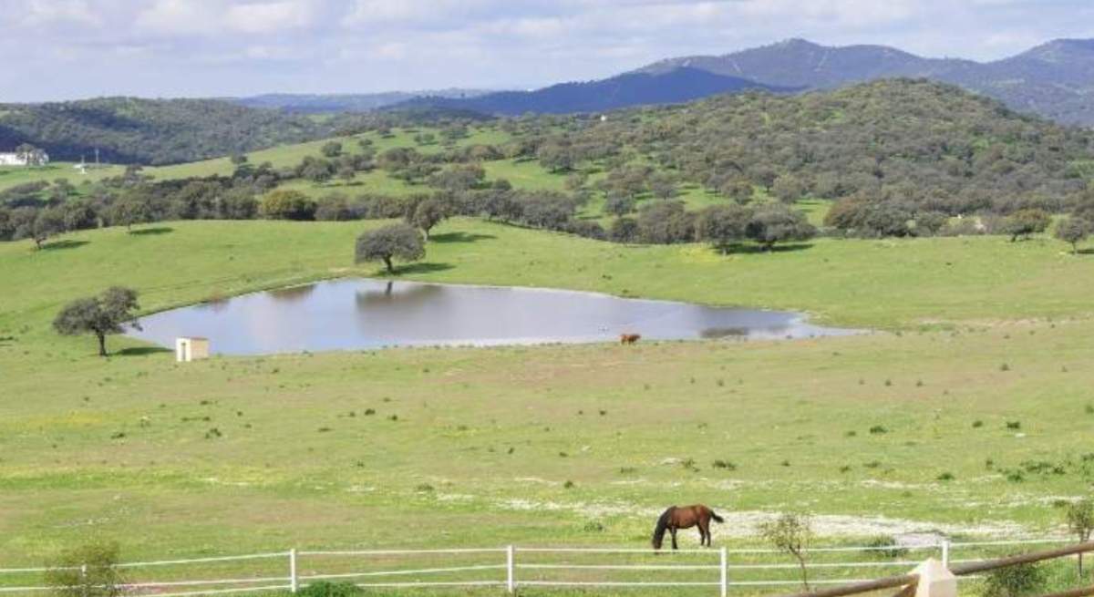 Fincas-rusticas.jpg