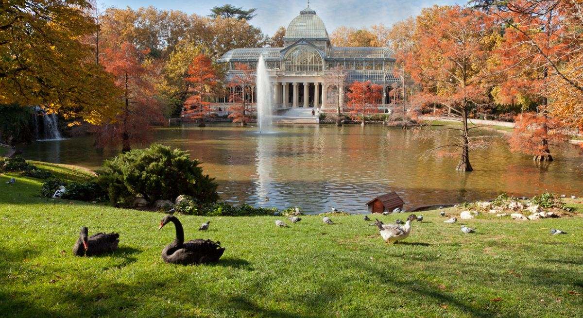 Parque de El Retiro, en Madrid, durante el otoño. / Foto: iStock
