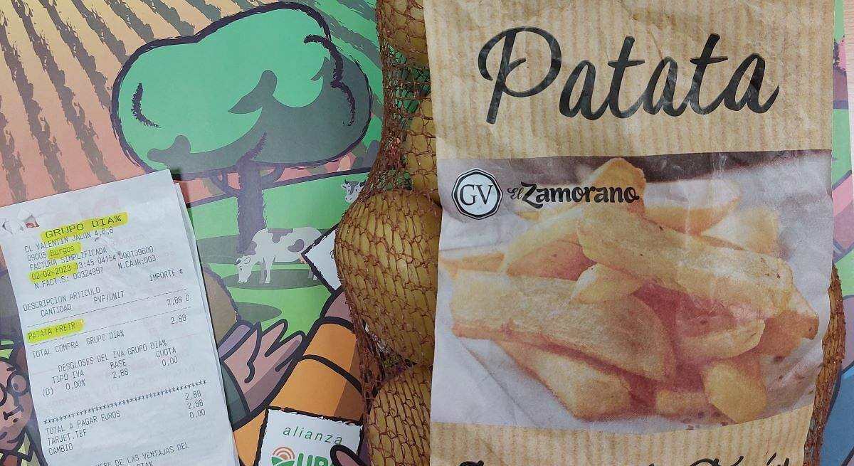patata