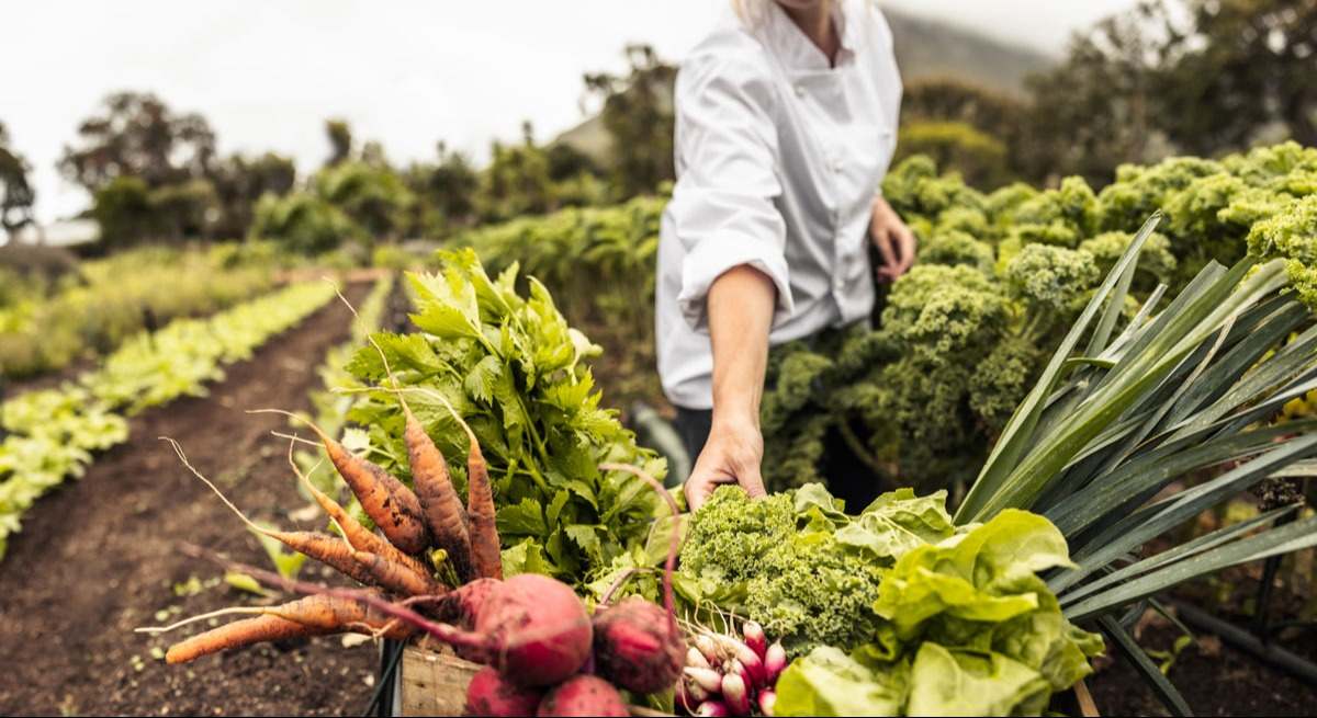 Cultivo ecológico