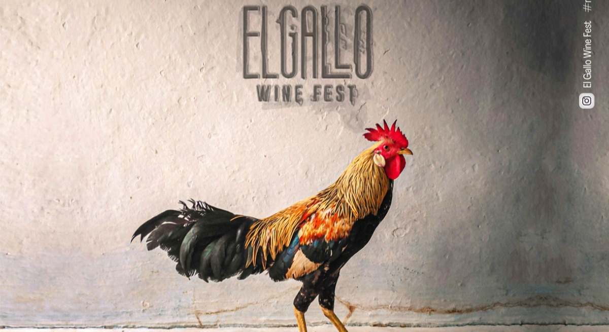 Cartel del Gallo Wine Fest