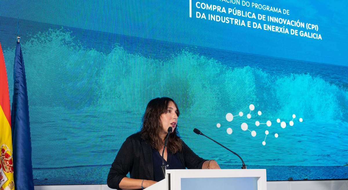 COMPRA PUBLICA HIDROGENO VERDE