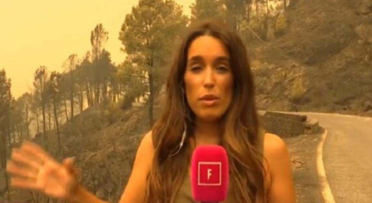reportera fiesta fuegos incendios
