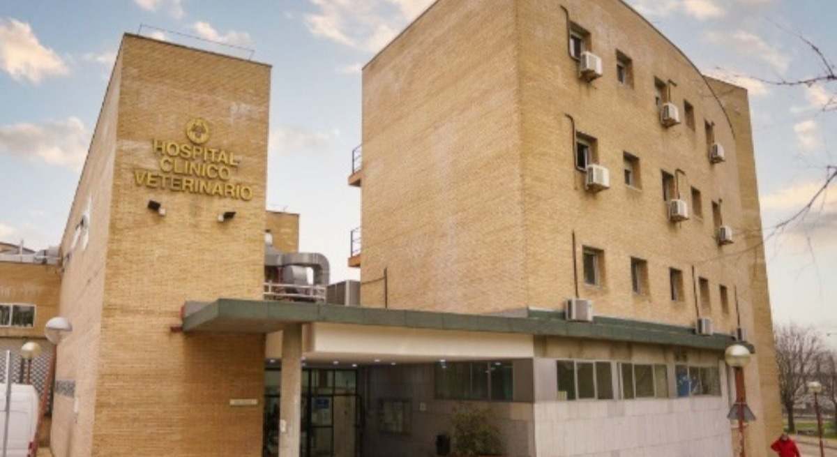 Imagen del Hospital Clínico Veterinario.