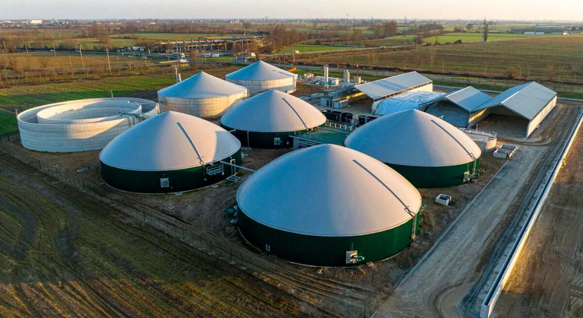 Plantas de Verdalia Bioenergy en Italia