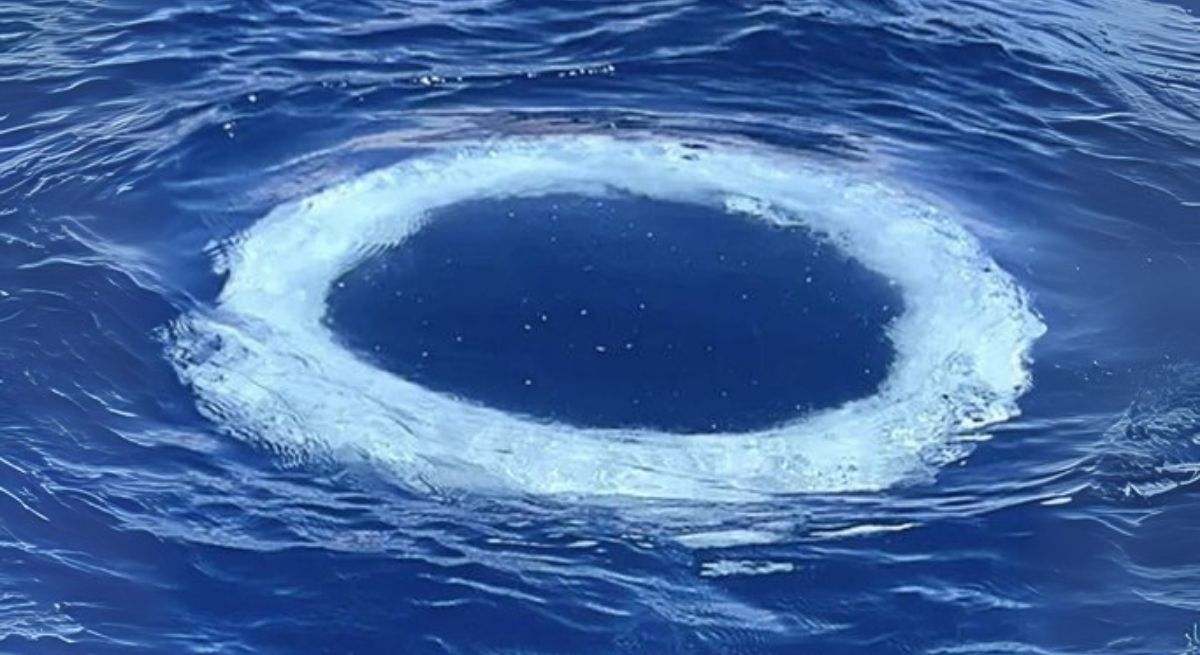 Aparecen decenas de anillos en el mar y la ciencia se pronuncia: podrían ser mensajes "de otra inteligencia"