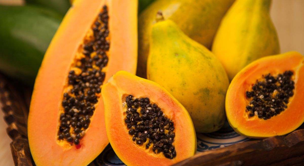Se trata del fruto de una planta originaria de México y América Central